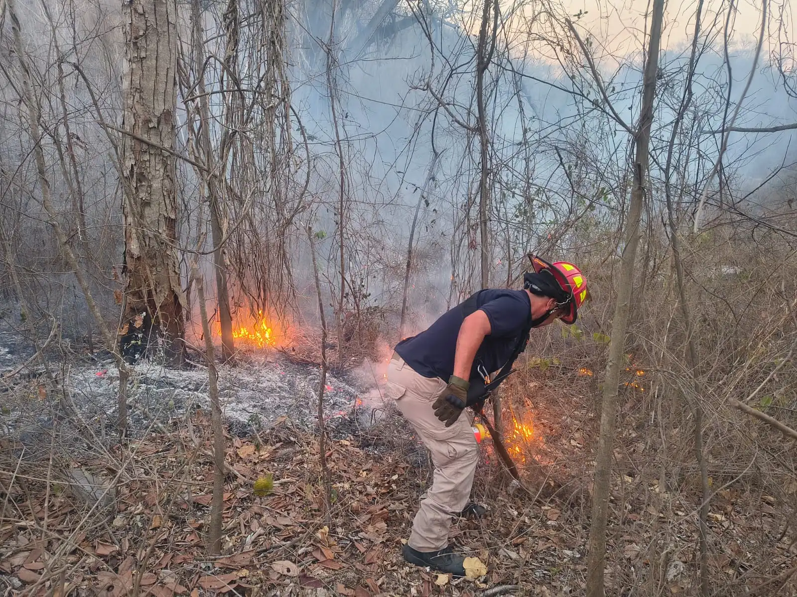 Reportan bajo control incendio en La Cruz de Huanacaxtle